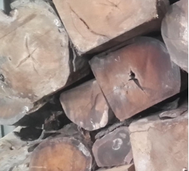 ľ���ѿp���a�z